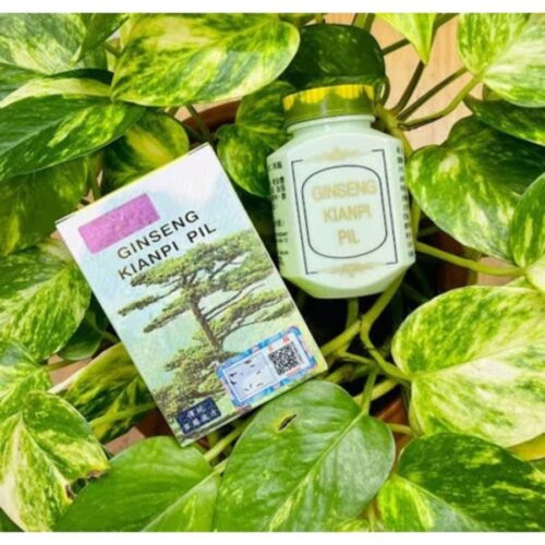 Wisdom Ginseng Kianpi Pil(60 Capsules)