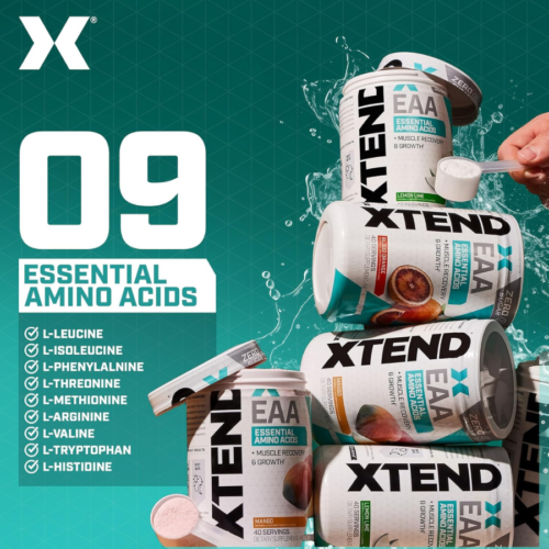 Xtend Scivation EAA + BCAA Powder Mango 40 Servings price in Bangladesh