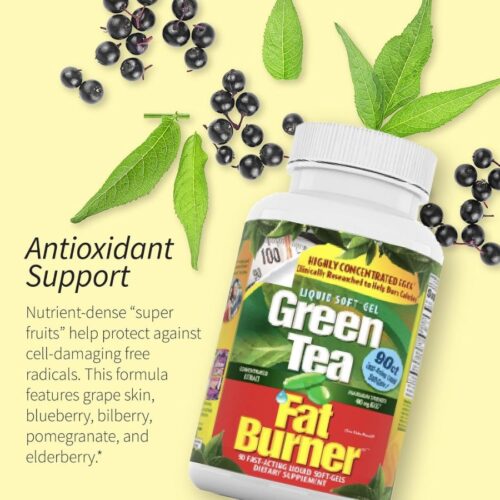 Applied Nutrition Green Tea Fat Burner 90 Total Servings price in Bangladesh