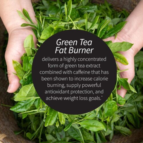 Applied Nutrition Green Tea Fat Burner 30 Count price in Bangladesh