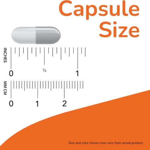Now Foods Supplements L-Theanine 100 Mg 90Veg